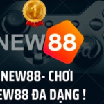 New88